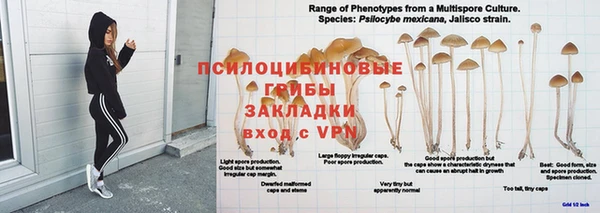 прущая мука Няндома