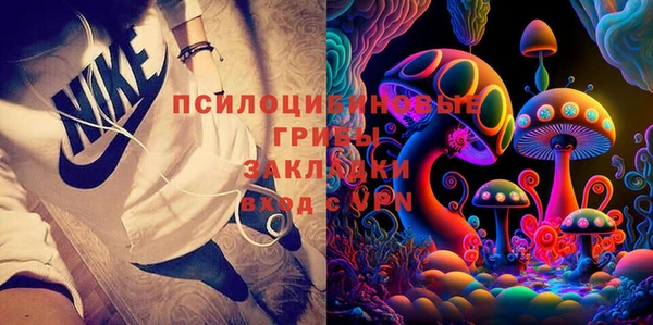 прущая мука Няндома