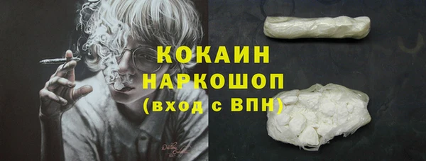 прущая мука Няндома