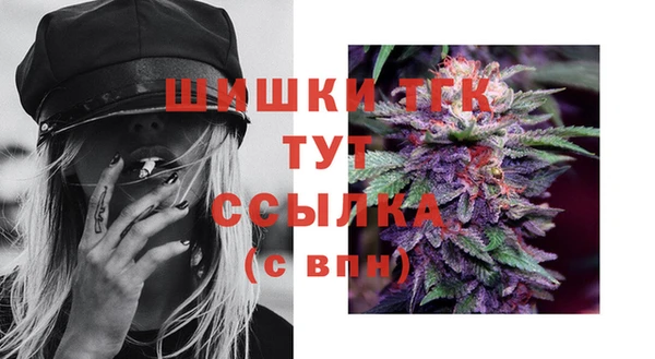 spice Осинники