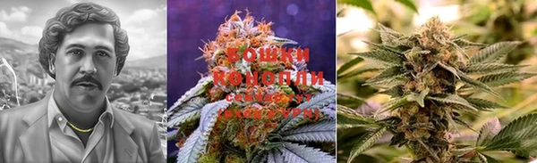 прущая мука Остров