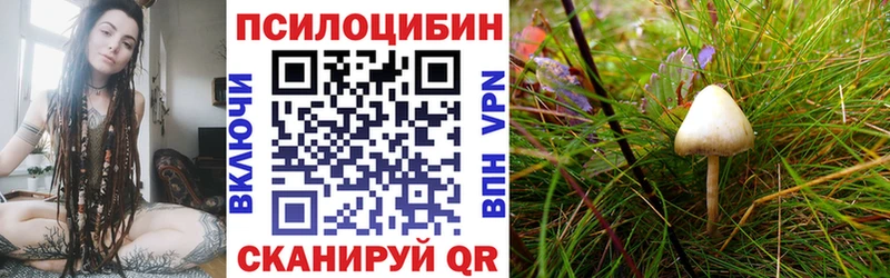 даркнет сайт  Полысаево  Псилоцибиновые грибы MAGIC MUSHROOMS 