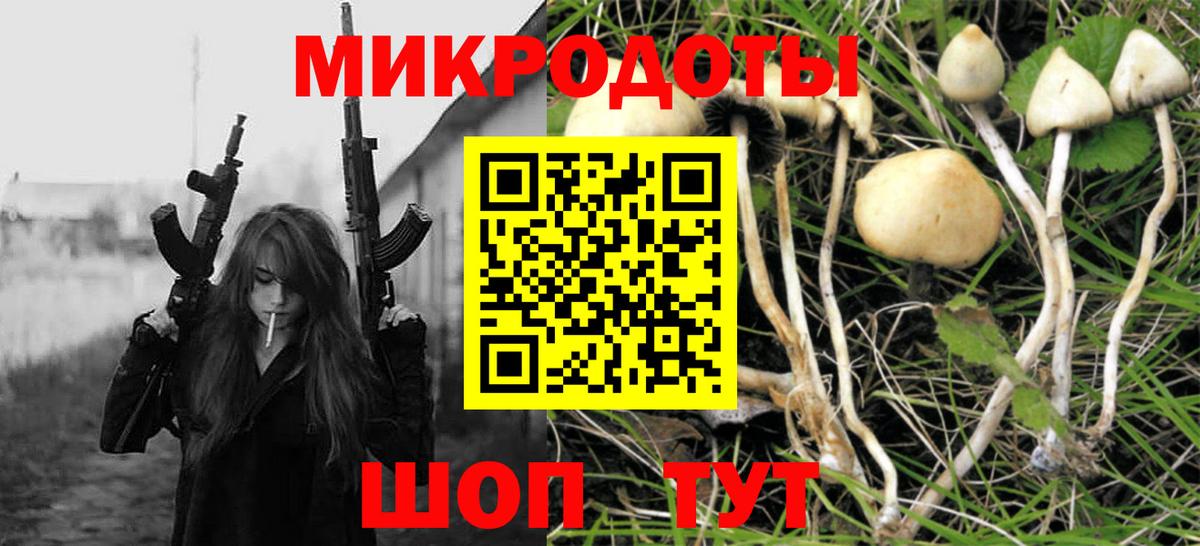 Галлюциногенные грибы Psilocybe Полысаево