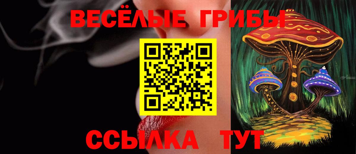 Галлюциногенные грибы Psilocybe  Вход с VPN  Полысаево 