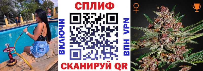 Бошки Шишки VHQ  купить наркотики сайты  Полысаево 